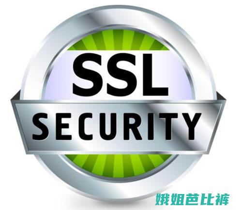 SSL是什么？详细解释 (ssl是什么层加密协议)