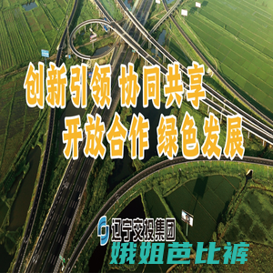 辽宁省交通建设投资集团有限责任公司