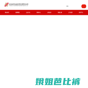 宜昌城市发展投资集团有限公司官网