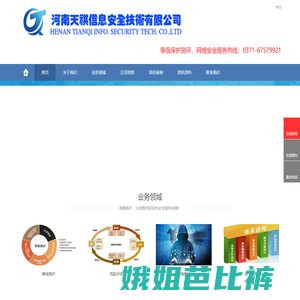 河南天祺信息安全技术有限公司（专业等保测评机构）