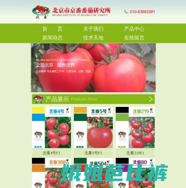 北京市京番番茄研究所