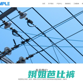 特恩普电力科技（杭州）有限公司