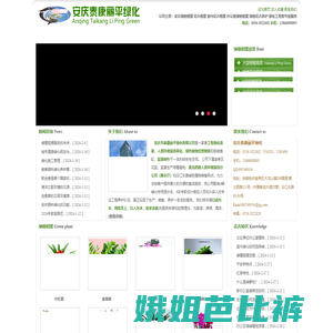 安庆绿化工程