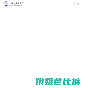 上海电器股份有限公司人民电器厂