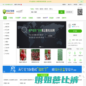 重庆企业网