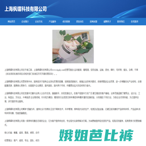 上海枫镭科技有限公司